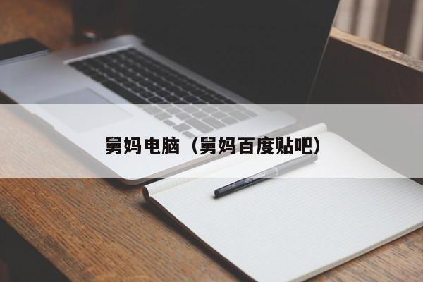 舅妈电脑（舅妈百度贴吧）