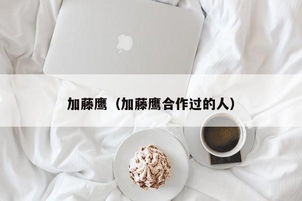 加藤鹰（加藤鹰合作过的人）