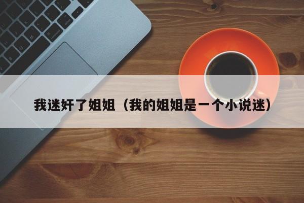 我迷奸了姐姐（我的姐姐是一个小说迷）