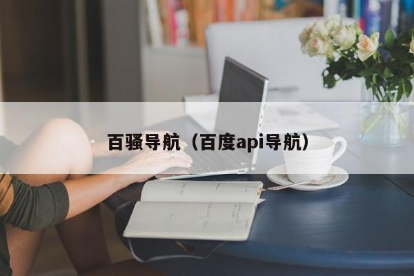 百骚导航（百度api导航）