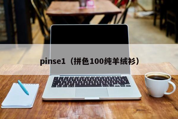 pinse1（拼色100纯羊绒衫）