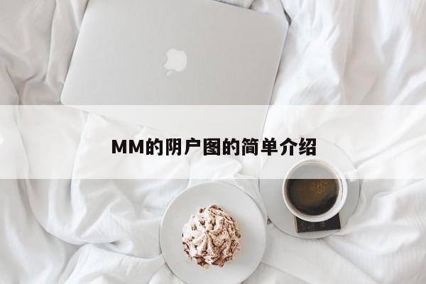 MM的阴户图的简单介绍