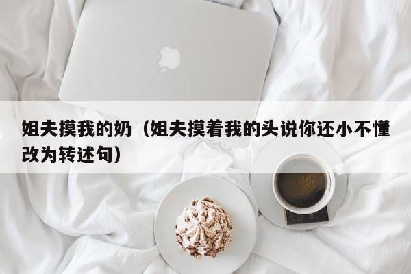 姐夫摸我的奶（姐夫摸着我的头说你还小不懂改为转述句）