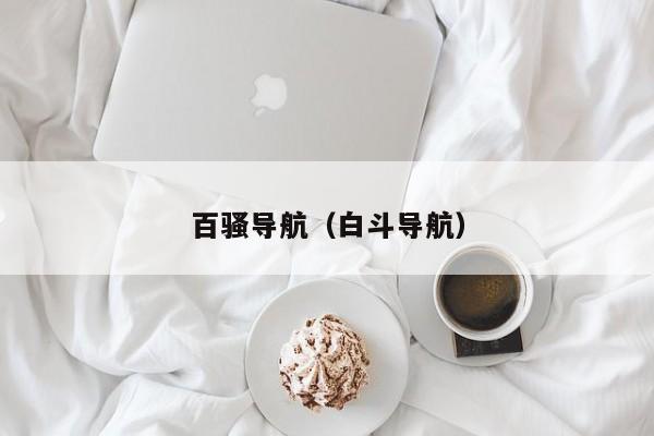 百骚导航（白斗导航）