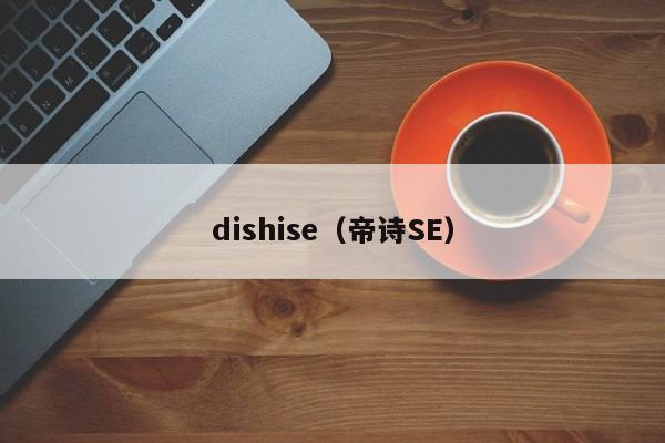 dishise（帝诗SE）