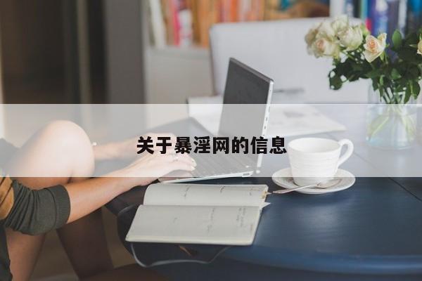 关于暴淫网的信息