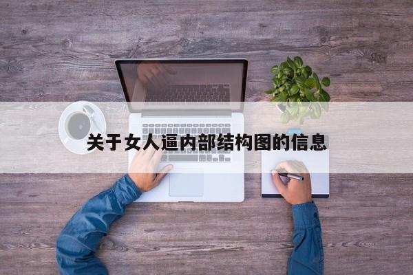关于女人逼内部结构图的信息