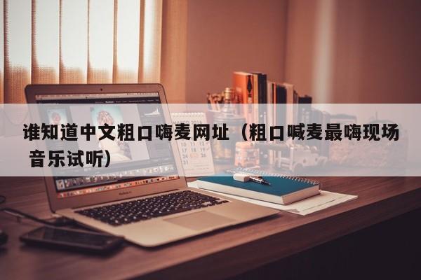 谁知道中文粗口嗨麦网址(粗口喊麦最嗨现场 音乐试听)