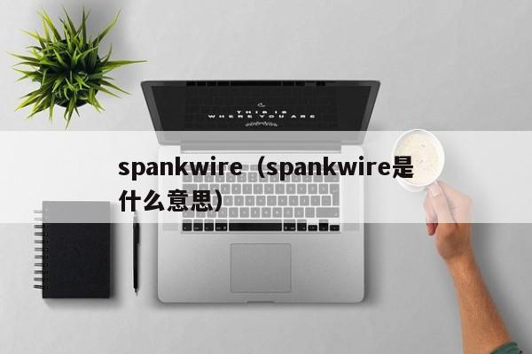 spankwire(spankwire是什么意思)