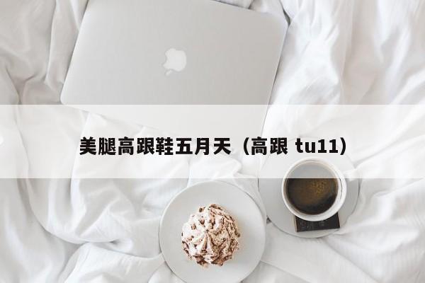 美腿高跟鞋五月天（高跟 tu11）
