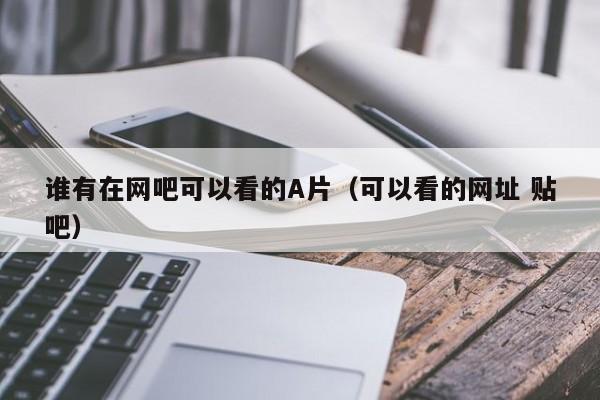 谁有在网吧可以看的A片(可以看的网址 贴吧)