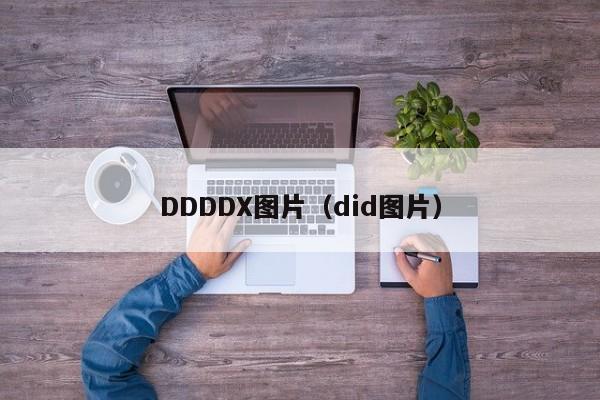 DDDDX图片(did图片)