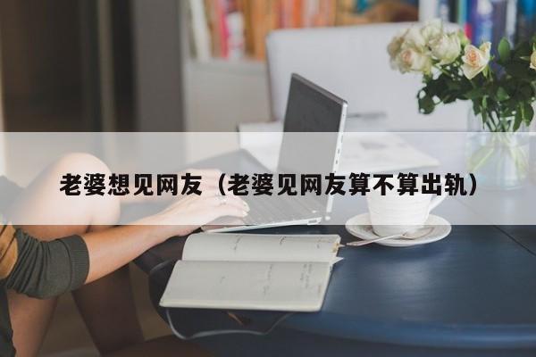 老婆想见网友(老婆见网友算不算出轨)