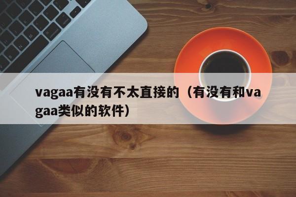 vagaa有没有不太直接的(有没有和vagaa类似的软件)