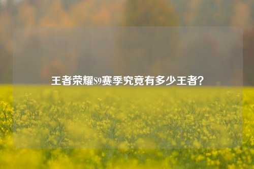 王者荣耀S9赛季究竟有多少王者？
