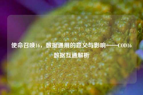使命召唤16，数据通用的意义与影响——COD16数据互通解析