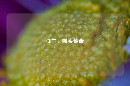 CF兰，爆头传奇