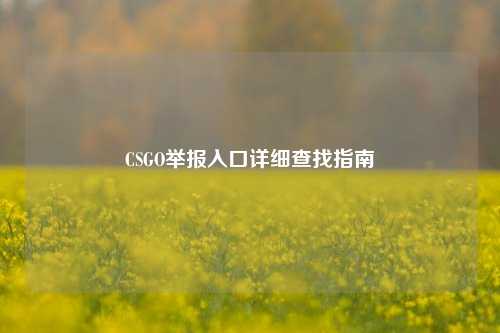 CSGO举报入口详细查找指南