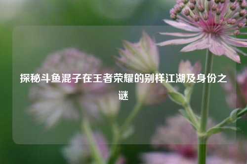 探秘斗鱼混子在王者荣耀的别样江湖及身份之谜