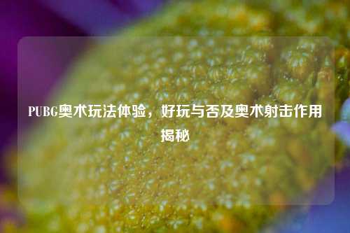PUBG奥术玩法体验,好玩与否及奥术射击作用揭秘