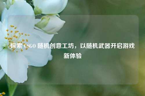 探索 CSGO 随机创意工坊,以随机武器开启游戏新体验