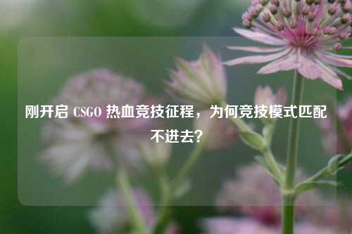 刚开启 CSGO 热血竞技征程，为何竞技模式匹配不进去？