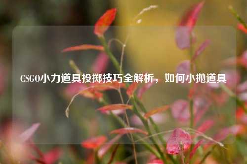 CSGO小力道具投掷技巧全解析,如何小抛道具