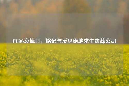 PUBG哀悼日,铭记与反思绝地求生丧葬公司