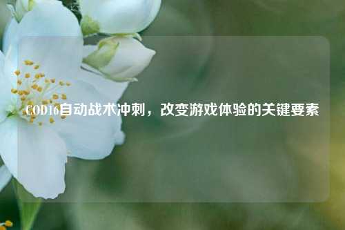 COD16自动战术冲刺,改变游戏体验的关键要素