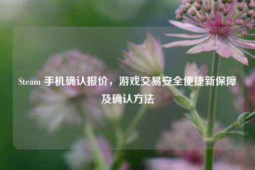 Steam 手机确认报价,游戏交易安全便捷新保障及确认