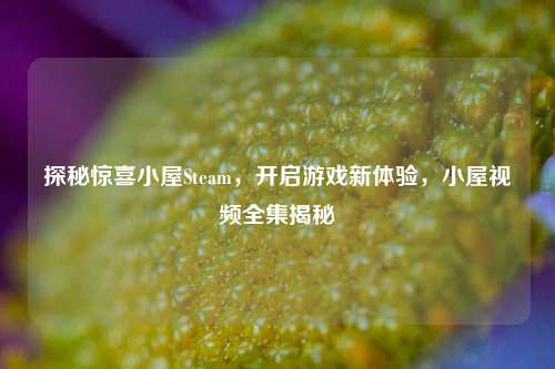 探秘惊喜小屋Steam,开启游戏新体验,小屋视频全集揭秘