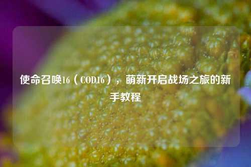 使命召唤16(COD16),萌新开启战场之旅的新手教程