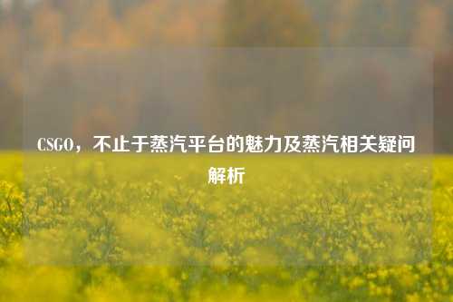 CSGO,不止于蒸汽平台的魅力及蒸汽相关疑问解析