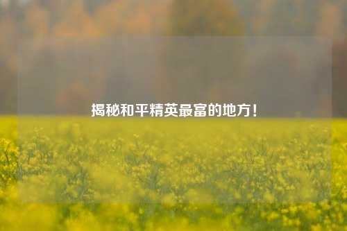 揭秘和平精英最富的地方！