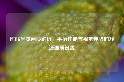 PUBG基本画质解析，平衡性能与视觉体验的舒适画质设置