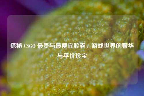 探秘 CSGO 最贵与更便宜胶囊，游戏世界的奢华与平价珍宝