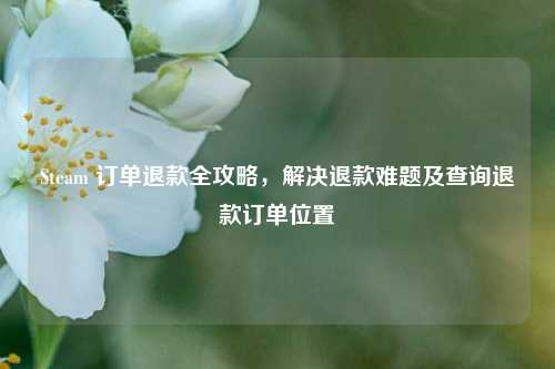 Steam 订单退款全攻略,解决退款难题及查询退款订单位置