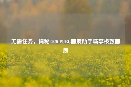 无需任务，揭秘2020 PUBG画质助手畅享极致画质