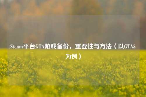 Steam平台GTA游戏备份,重要性与 (以GTA5为例)