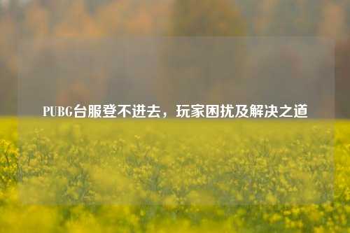 PUBG台服登不进去，玩家困扰及解决之道