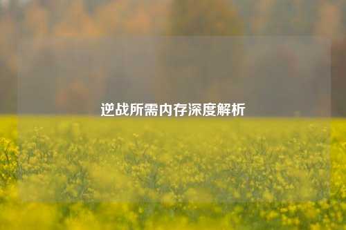 逆战所需内存深度解析