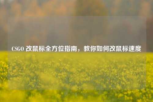CSGO 改鼠标全方位指南,教你如何改鼠标速度
