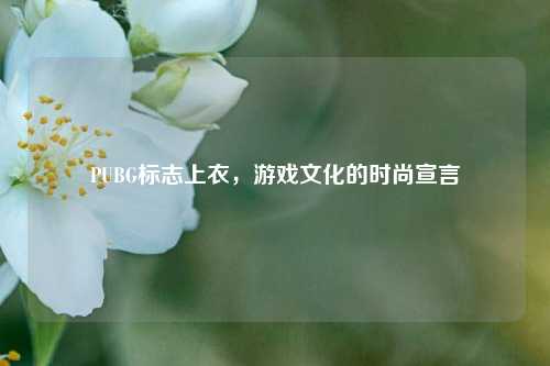 PUBG标志上衣,游戏文化的时尚宣言