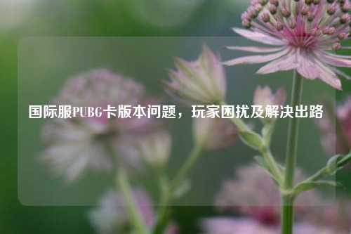 国际服PUBG卡版本问题,玩家困扰及解决出路