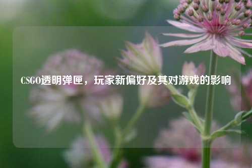 CSGO透明弹匣,玩家新偏好及其对游戏的影响