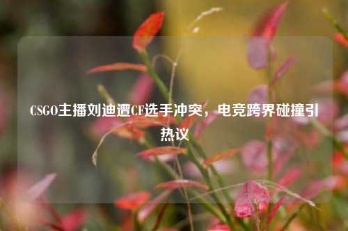 CSGO主播刘迪遭CF选手冲突,电竞跨界碰撞引热议