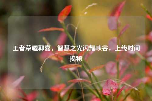 王者荣耀郭嘉,智慧之光闪耀峡谷,上线时间揭秘