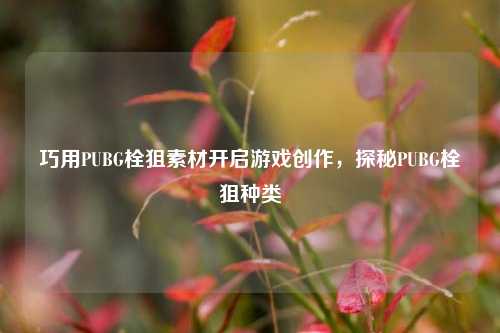 巧用PUBG栓狙素材开启游戏创作,探秘PUBG栓狙种类