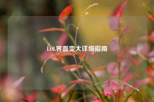 LOL界面变大详细指南