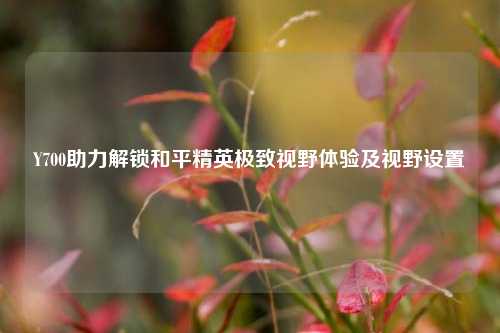 Y700助力解锁和平精英极致视野体验及视野设置